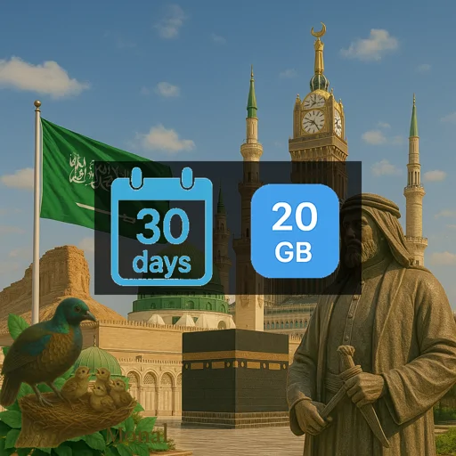 Saudi Arabia 20GB 30Days