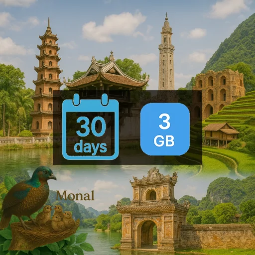 Vietnam 3GB 30Days