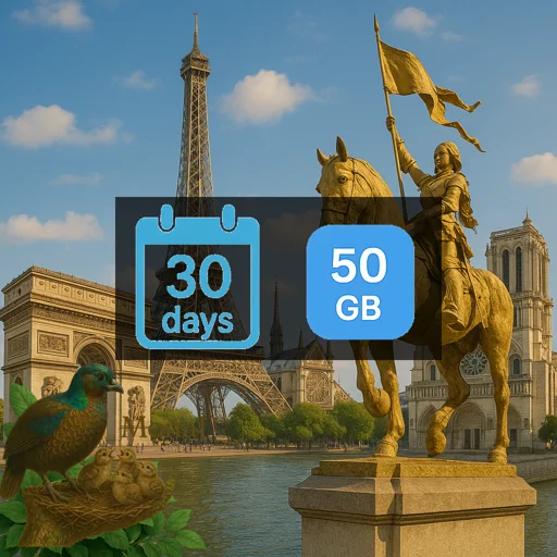 France 50GB 30Days