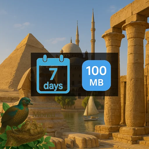 Egypt 100MB 7Days