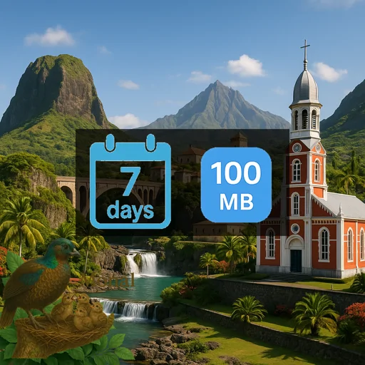 Reunion 100MB 7Days