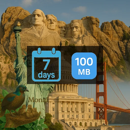 United States 100MB 7Days