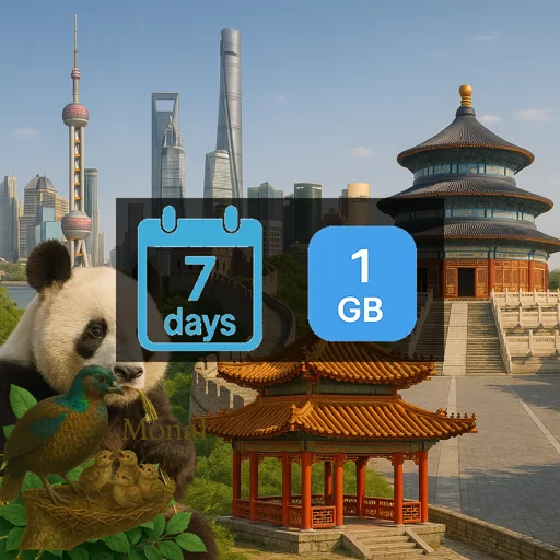 China 1GB 7Days