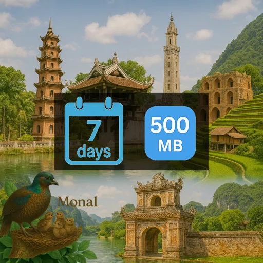 Vietnam 500MB 7Days
