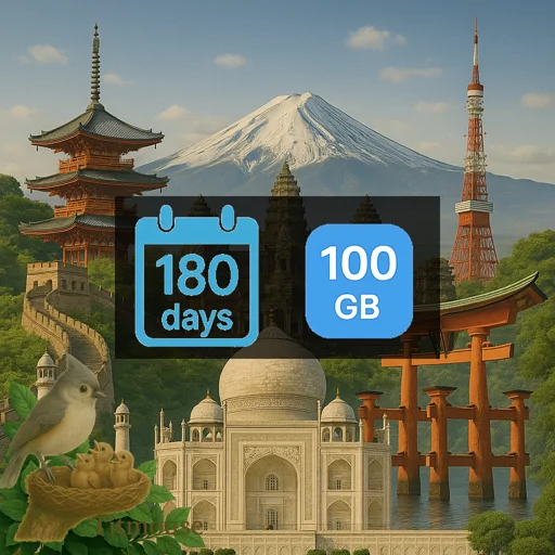 Asia - 100 GB - 180 days