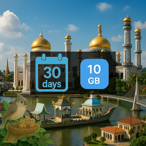 Brunei - 10 GB - 30 days