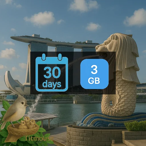 Singapore - 3 GB - 30 Days