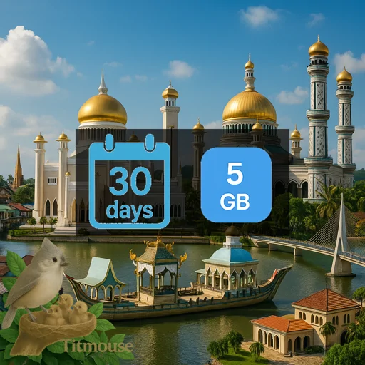 Brunei - 5 GB - 30 Days