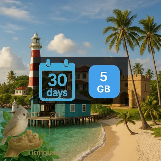 Democratic Republic Of The Congo - 5 GB - 30 Days