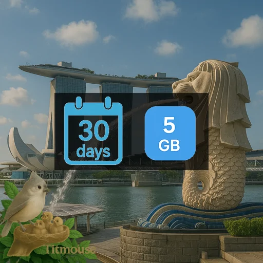 Singapore - 5 GB - 30 Days