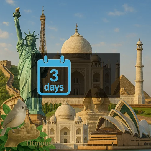 Discover Global - 250 MB - 3 days