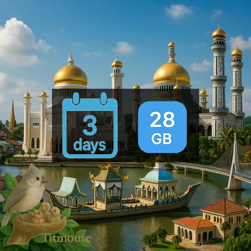 Brunei - Unlimited - 3 days