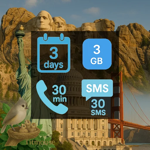 United States - 3 GB - 30 SMS - 30 Mins - 3 days