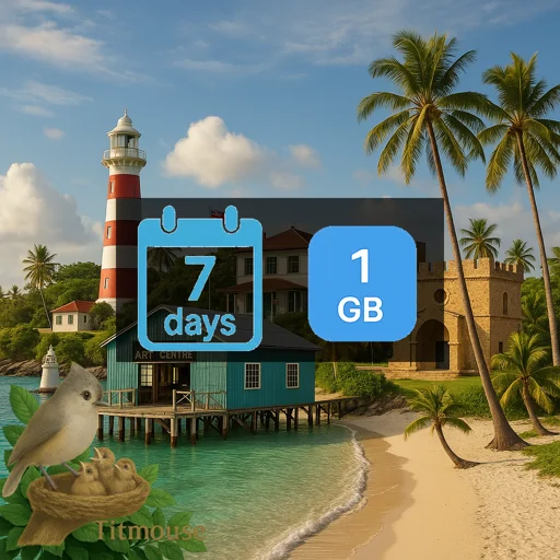 Democratic Republic Of The Congo - 1 GB - 7 days