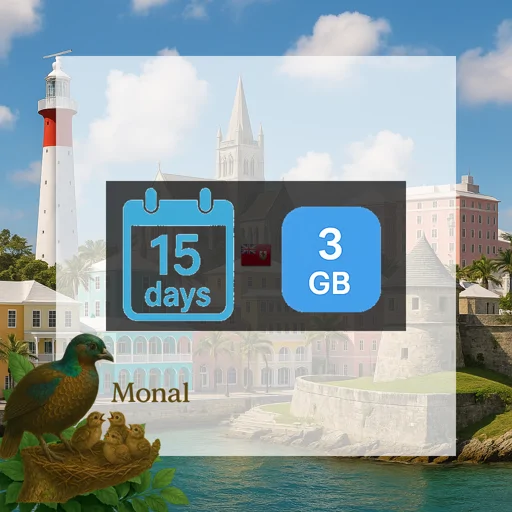Bermuda 3GB 15Days