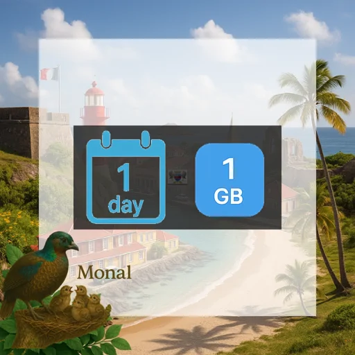Saint Barthelemy 1GB/Day