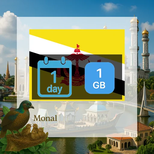 Brunei Darussalam 1GB/Day