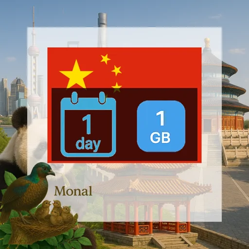 China 1GB/Day