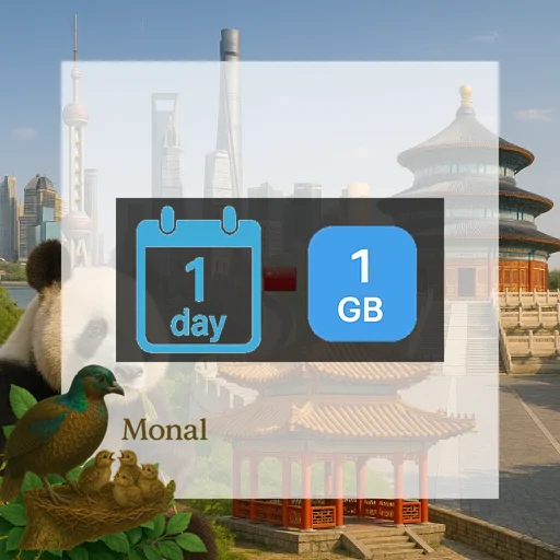 China 1GB/Day FUP1Mbps