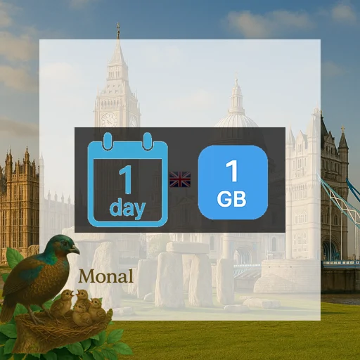 United Kingdom 1GB/Day FUP1Mbps