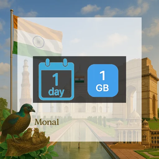 India 1GB/Day