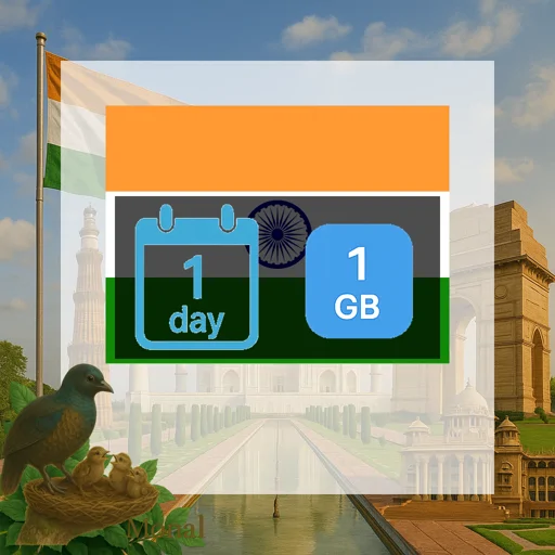 India 1GB/Day