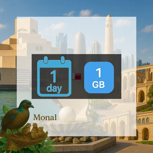 Qatar 1GB/Day FUP1Mbps