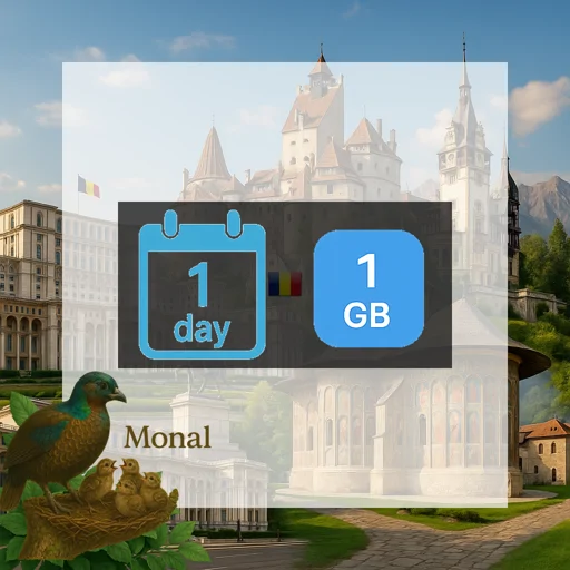 Romania 1GB/Day FUP1Mbps