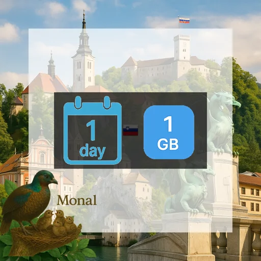 Slovenia 1GB/Day FUP1Mbps Unlimited