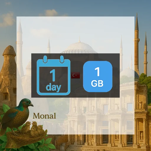 Turkey 1GB/Day FUP1Mbps Premium Unlimited