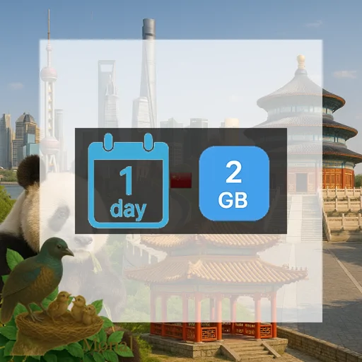 China 2GB/Day