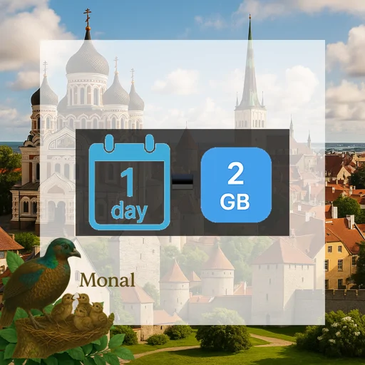 Estonia 2GB/Day