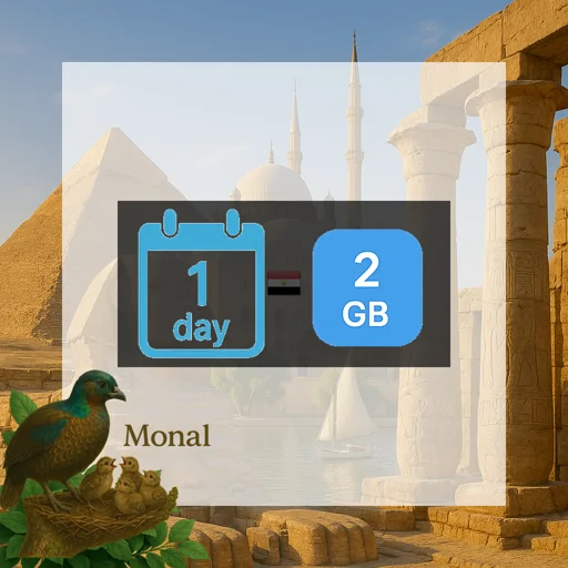 Egypt 2GB/Day FUP1Mbps