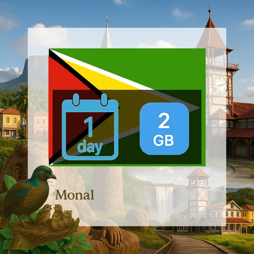 Guyana 2GB/Day Unlimited