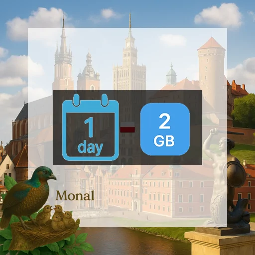 Poland 2GB/Day FUP1Mbps