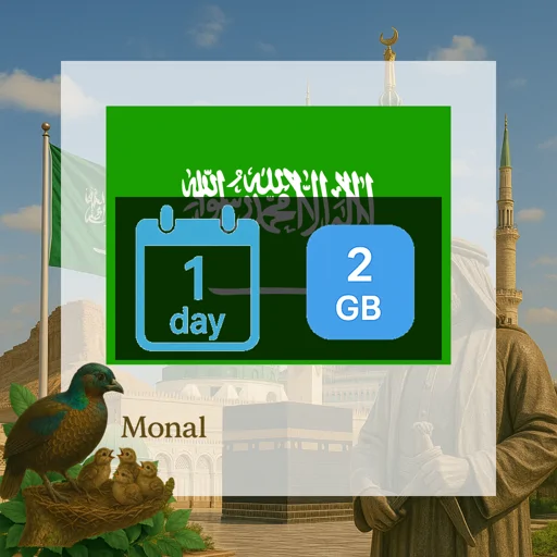 Saudi Arabia 2GB/Day