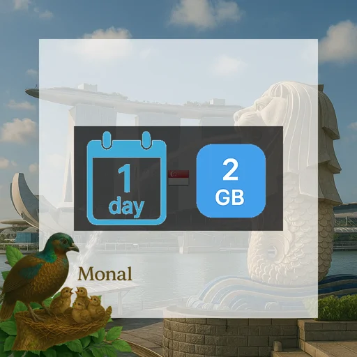 Singapore 2GB/Day FUP1Mbps