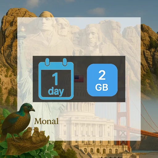 United States 2GB/Day FUP1Mbps (USIP) Unlimited