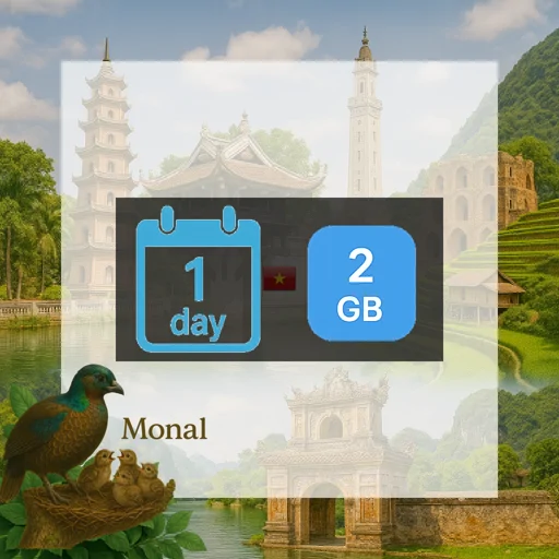 Vietnam 2GB/Day