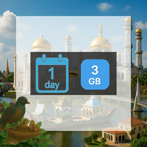Brunei Darussalam 3GB/Day