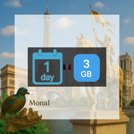 France 3GB/Day FUP1Mbps Unlimited