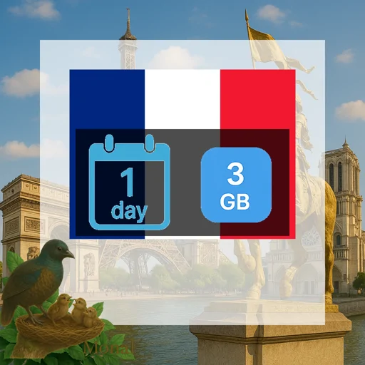 France 3GB/Day