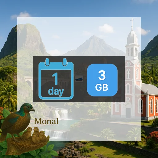 Reunion 3GB/Day