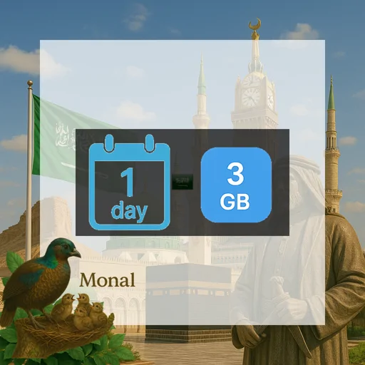 Saudi Arabia 3GB/Day FUP1Mbps Unlimited