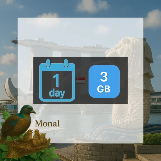 Singapore 3GB/Day FUP1Mbps (nonhkip) Unlimited