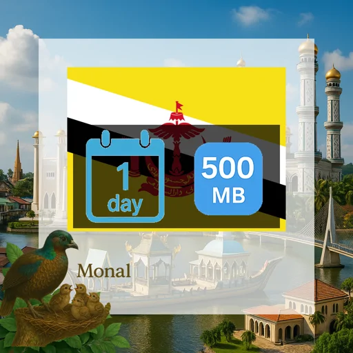 Brunei Darussalam 500MB/Day