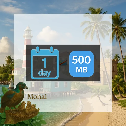 Democratic Republic of the Congo 500MB/Day