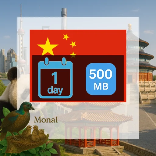 China 500MB/Day