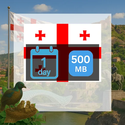 Georgia 500MB/Day