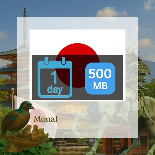 Japan 500MB/Day (IIJ)